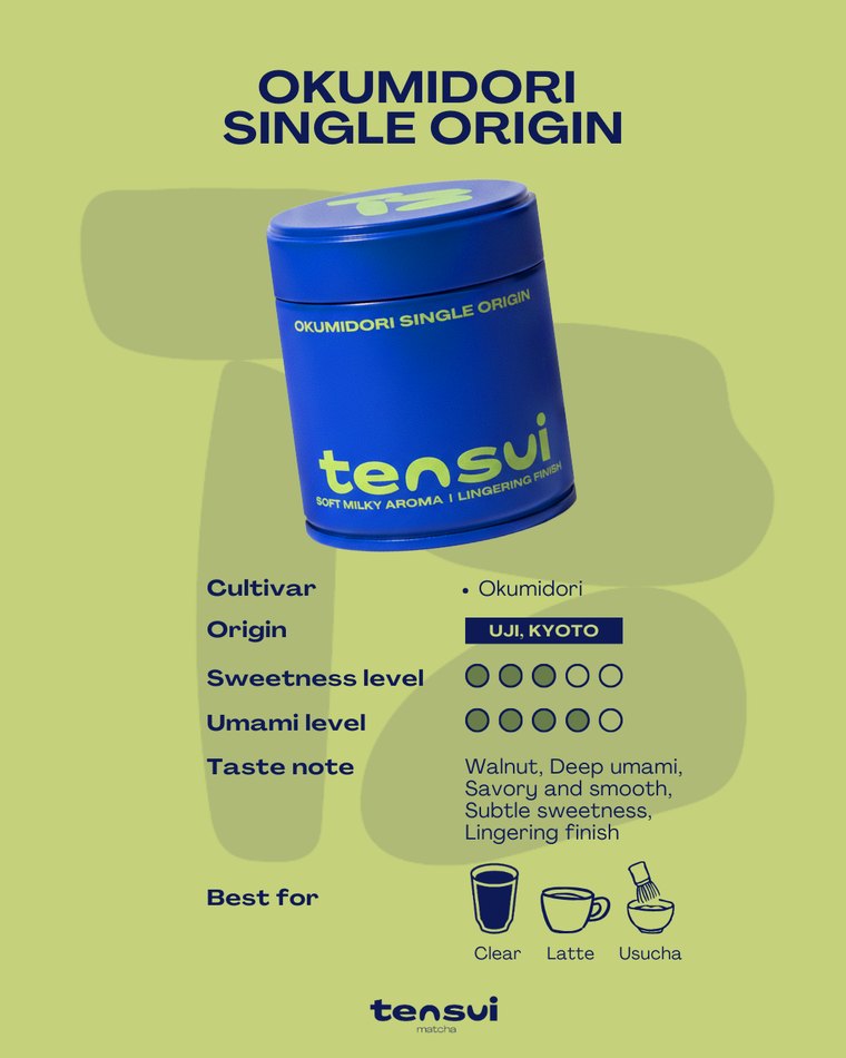 มัทฉะสายพันธุ์เดี่ยว Tensui Okumidori Single Origin จาก Uji, Kyoto