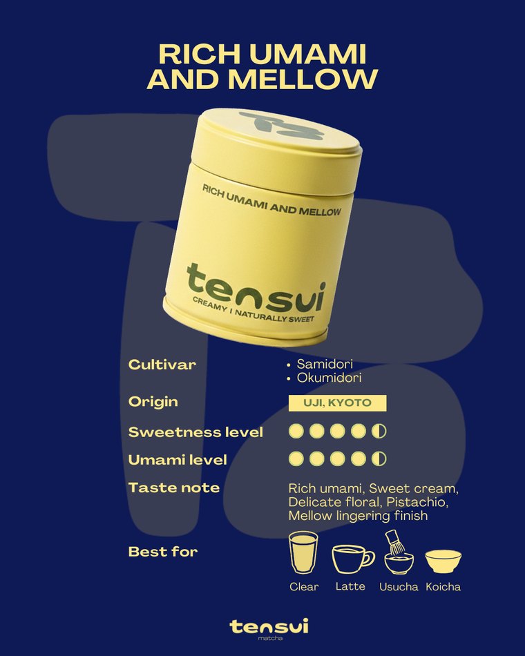 มัทฉะเกรดพิธีการ Tensui Rich Umami and Mellow จาก Uji, Kyoto
